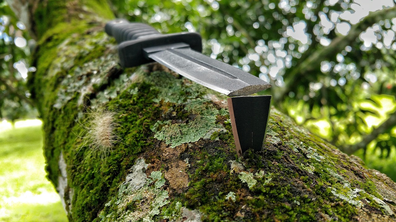 10 modi in cui il SurvivalX può migliorare la tua sicurezza in natura