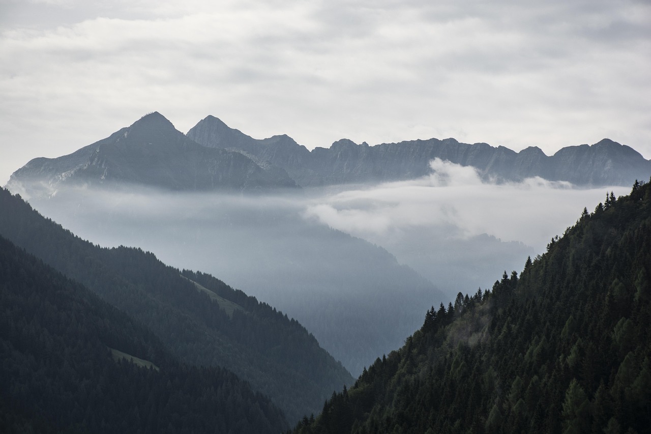 Test: sei pronto ad affrontare un'emergenza con il tuo SurvivalX?